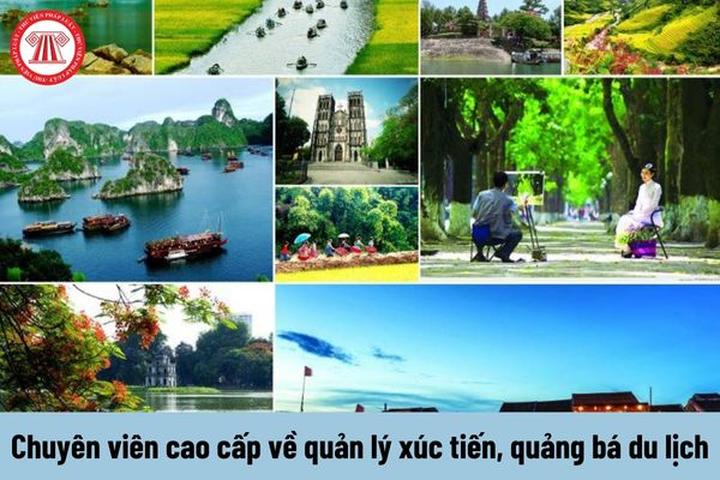 Thương mại hóa nội dung: Chìa khóa vàng trong kỷ nguyên video ngắn