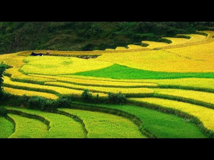 Quản lý nhà hàng thời 4.0: Thu hút khách hàng bằng video ngắn và Hotspot Matrix