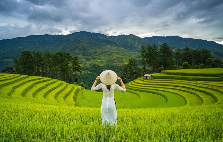 Xu hướng Nhà văn nói: 1 người nóng nảy: Hotspot Matrix tiết lộ bí quyết video viral